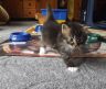 gerry311016-2.jpg
