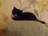 gina201116-3.jpg