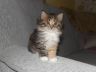 gloria201116-2.jpg