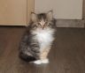 gloria201116-3.jpg
