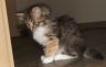 gloria201116-4.jpg