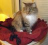 Gloria-24-11-2.jpg