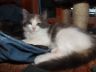 DSCF1671.jpg