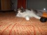 DSCF2490.jpg