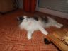 DSCF2491.jpg