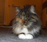 Jule-24-11-1.jpg