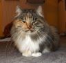 Jule-24-11-4.jpg