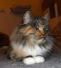 Jule-24-11-5.jpg
