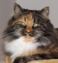 Donna von der Muldenaue