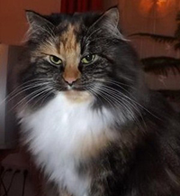Donna von der Muldenaue