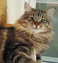 Quincy von der Sannoschka